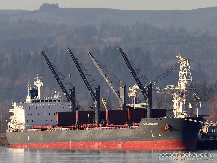 Seagull - Bulk Carrier vessel