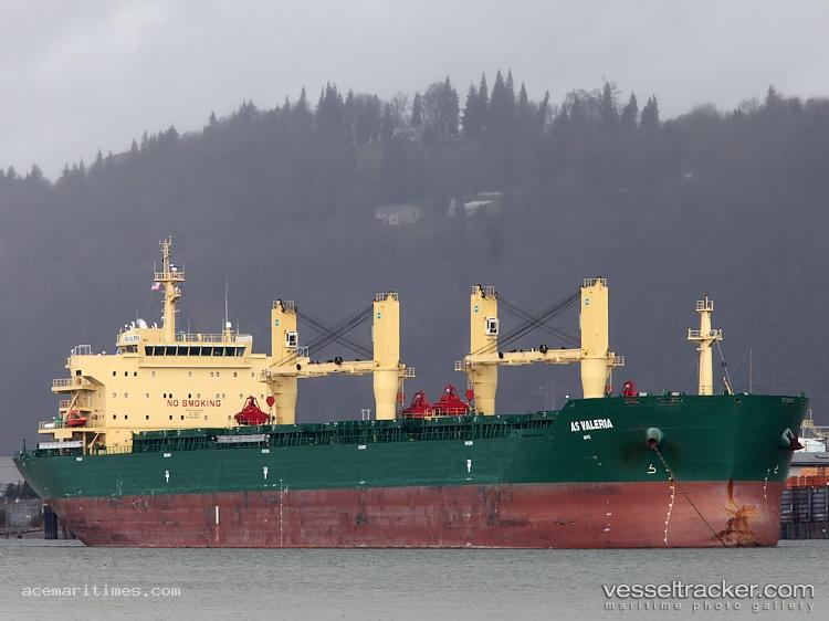 Ocean-Knight - Bulk Carrier
