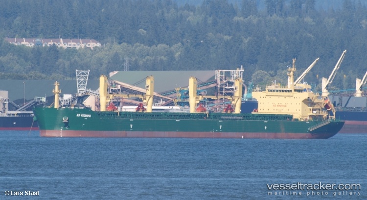 Xin-Hai-Tong-22 - Bulk Carrier vessel