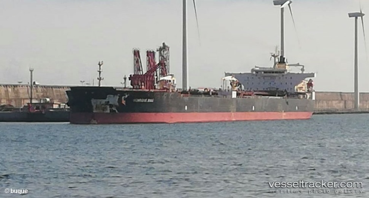 Henrique-Dias - Crude Oil Tanker vessel