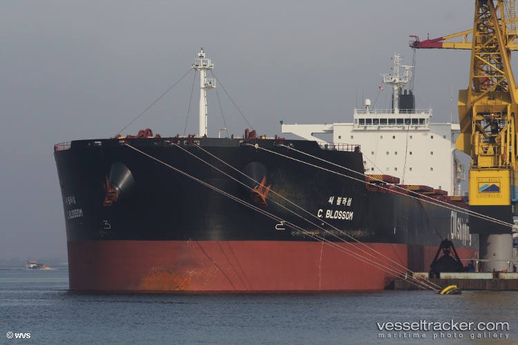 F.sun - Bulk Carrier vessel