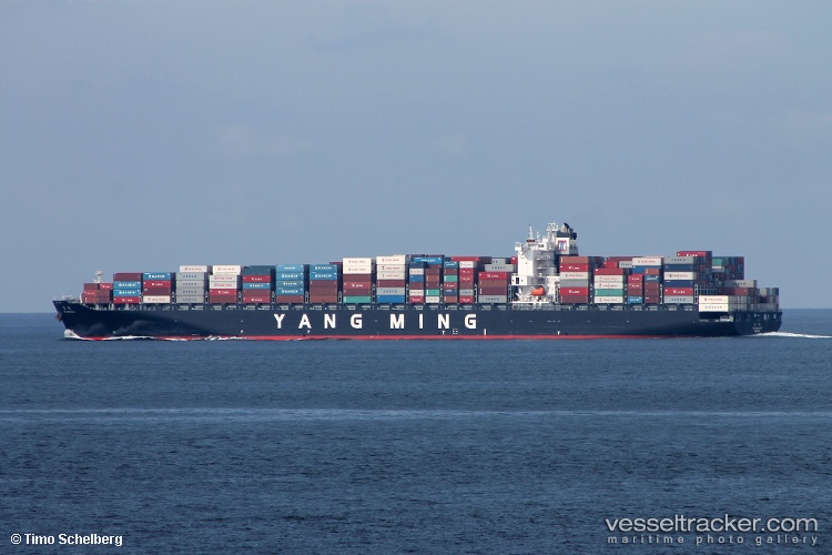 Ym-Mutuality - Container Ship vessel