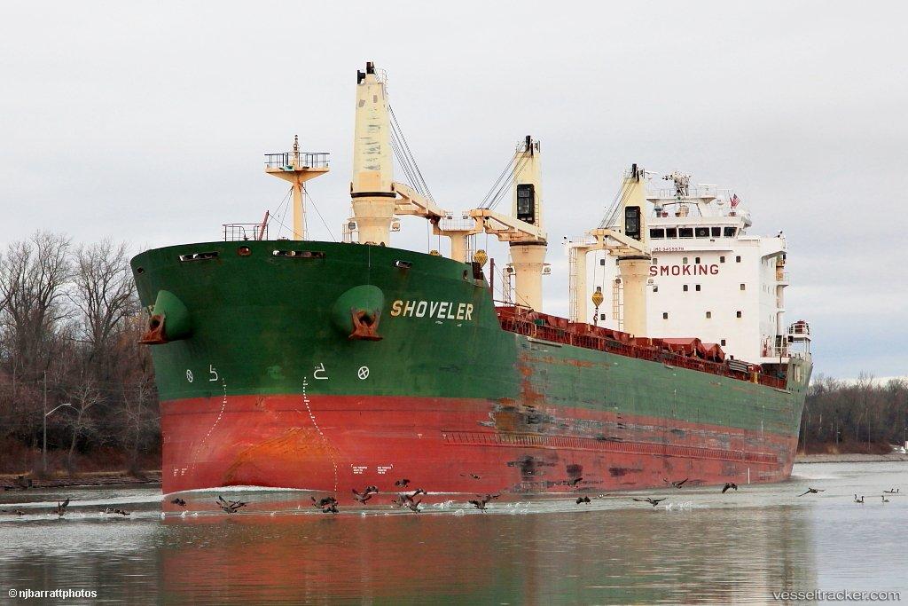 Shoveler - Bulk Carrier vessel