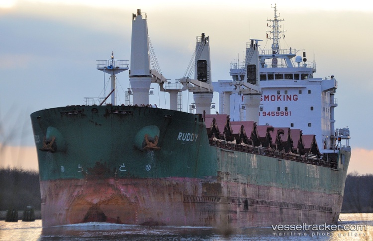 Ruddy - Bulk Carrier vessel