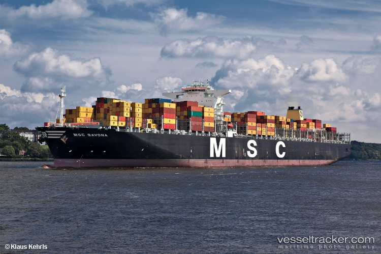 Msc-Savona - Container Ship vessel