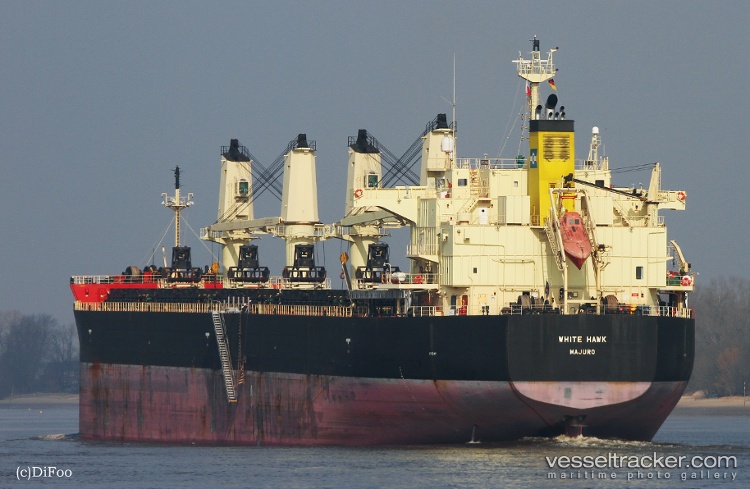 Explorer-Africa - Bulk Carrier vessel