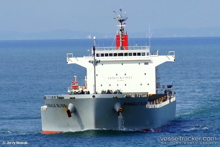 Sea-Juno - Bulk Carrier vessel