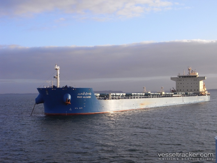 Wadi-Alkarm - Bulk Carrier vessel