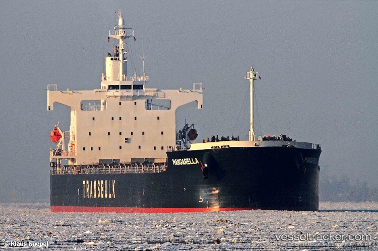 One-Ocean - Bulk Carrier