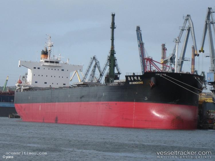 Km-Hongkong - Bulk Carrier