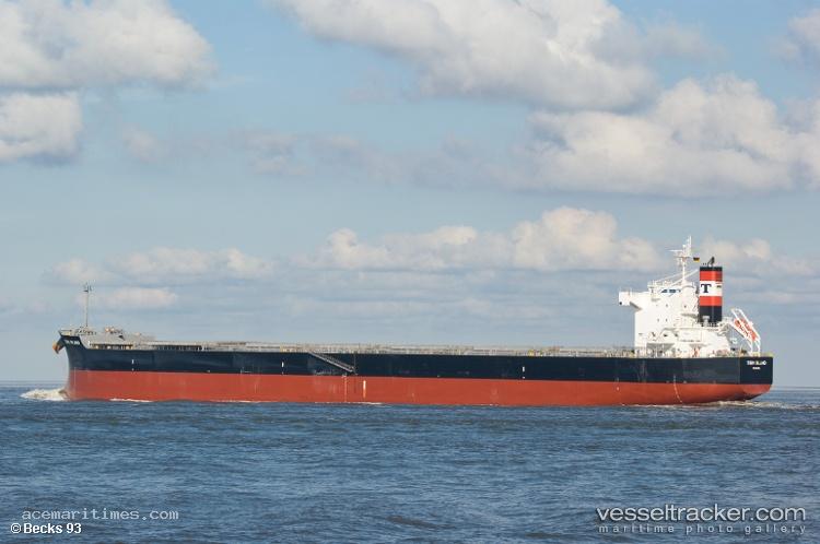 Medusa - Bulk Carrier