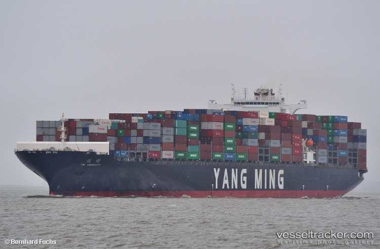 Ym-Ubiquity - Container Ship vessel