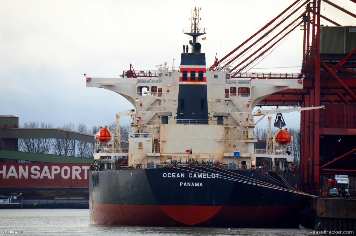 Cape-Puffin - Bulk Carrier vessel