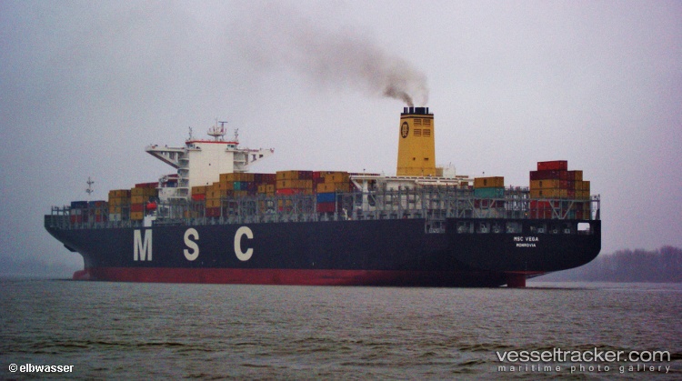 Msc-Vega - Container Ship vessel