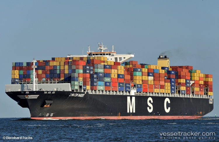 Msc-Margrit-Xiii