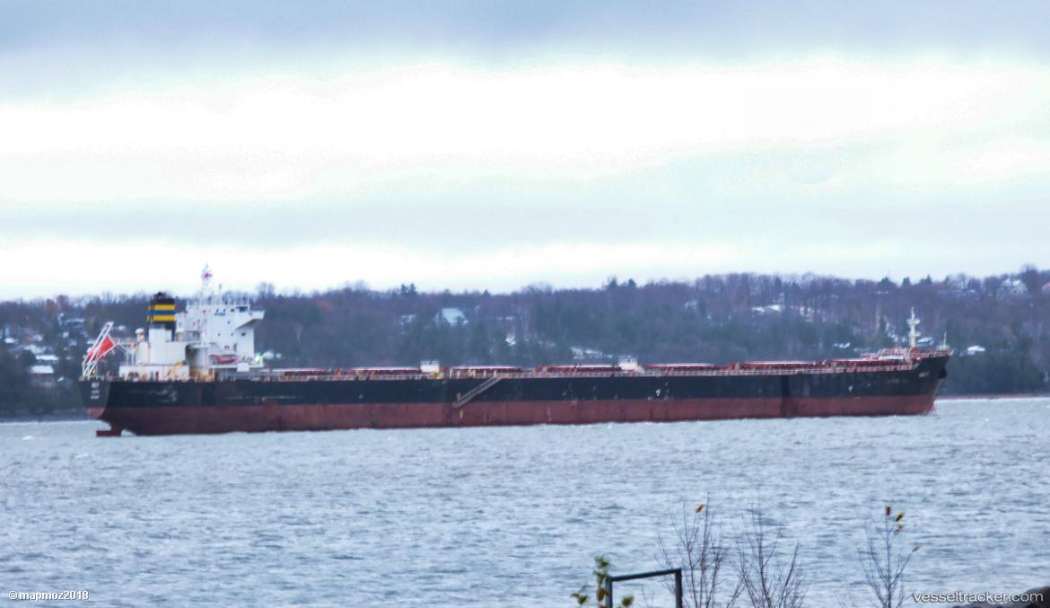 Amalfi - Bulk Carrier vessel