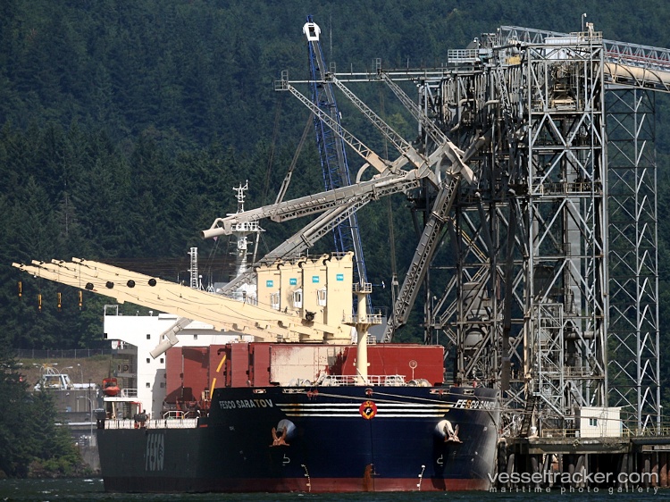 Gemini-Honor - Bulk Carrier vessel