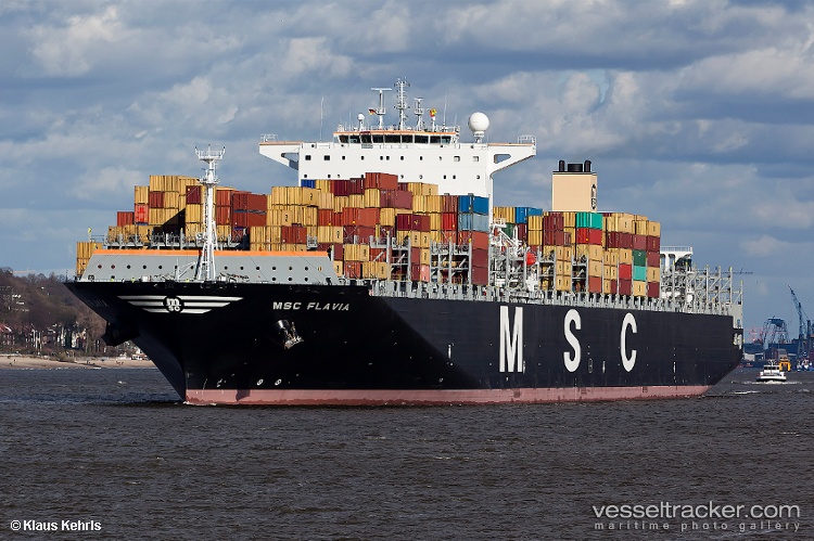 Msc-Flavia