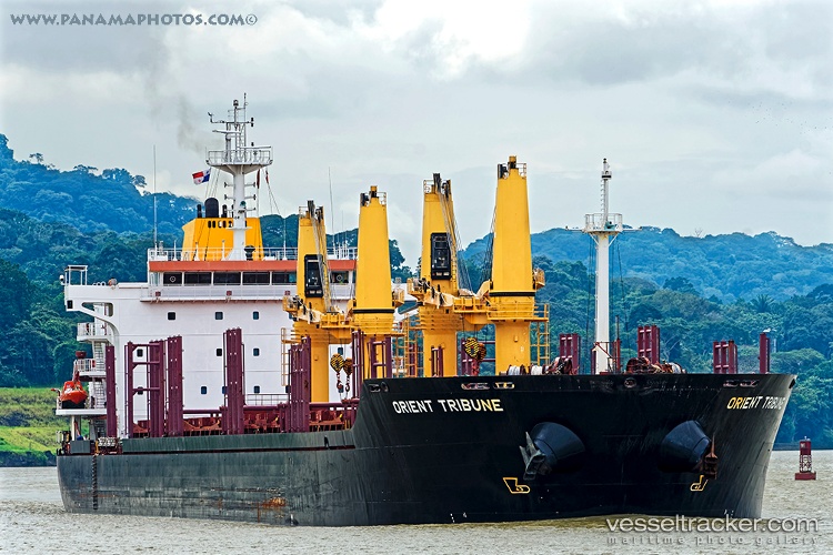 Global-Fortune - Bulk Carrier vessel