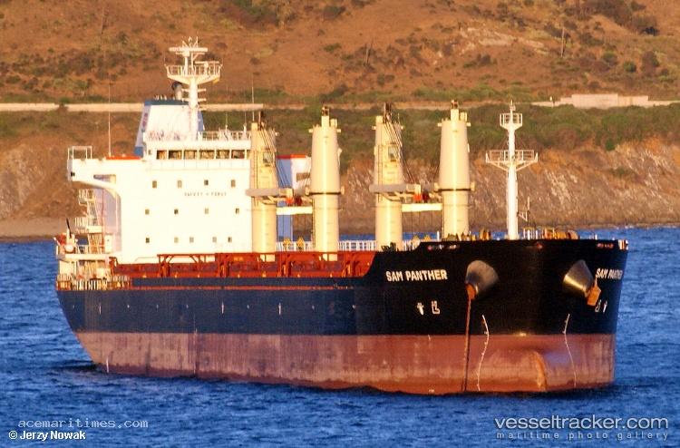 Orcinus - Bulk Carrier