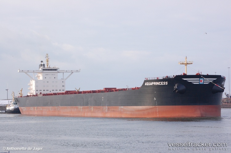 Andros-Princess - Bulk Carrier vessel