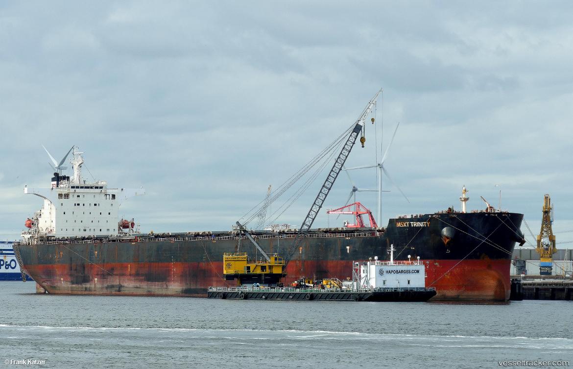 Msxt-Trinity - Bulk Carrier vessel