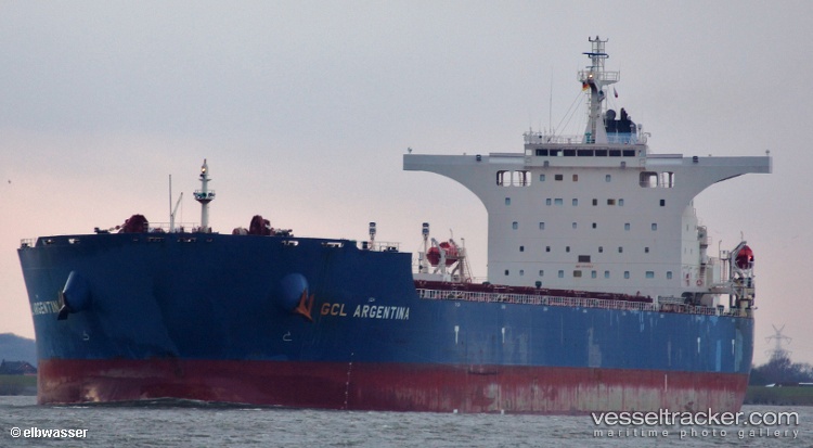 Cape-Brazil - Bulk Carrier vessel