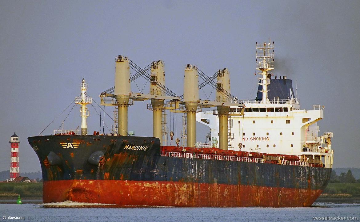Pigmi - Bulk Carrier vessel