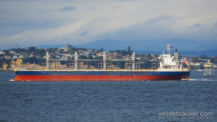 Ac-Sesoda - Bulk Carrier vessel