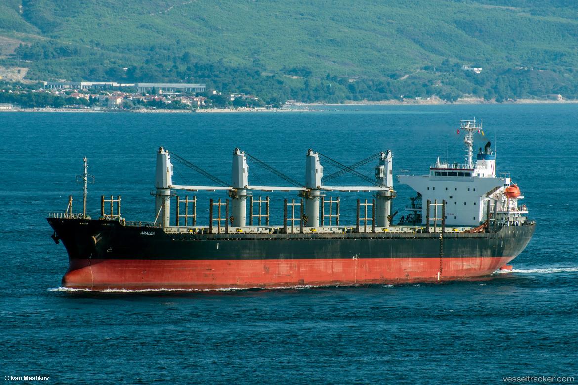 Amalea - Bulk Carrier vessel