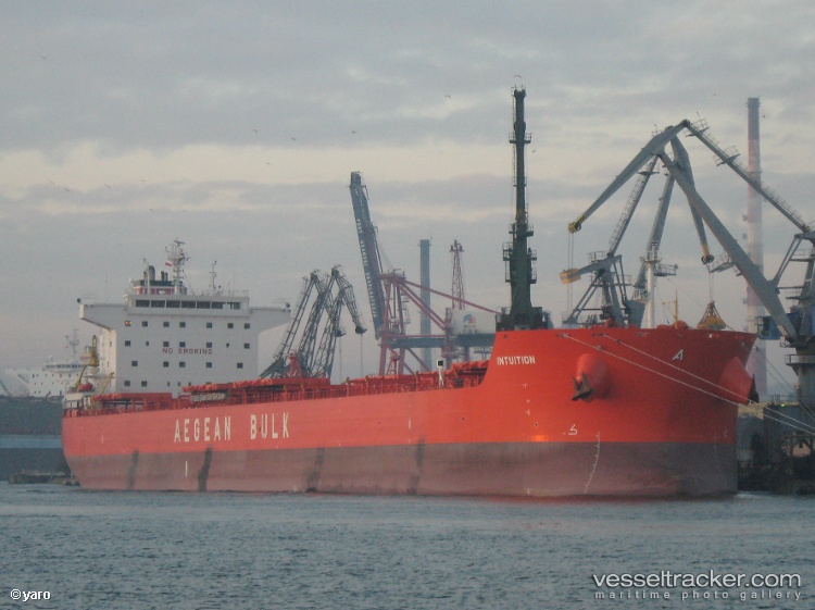 Intuition - Bulk Carrier vessel