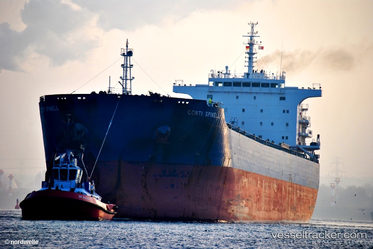 Nestor-S - Bulk Carrier vessel