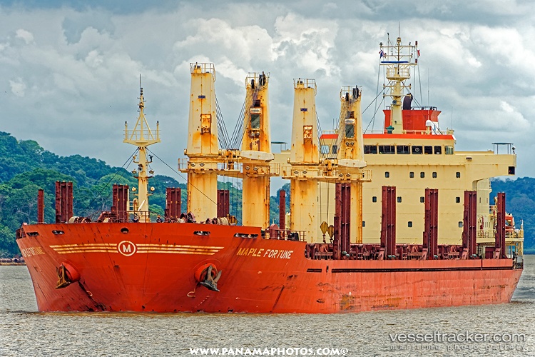 Maple-Fortune - Bulk Carrier