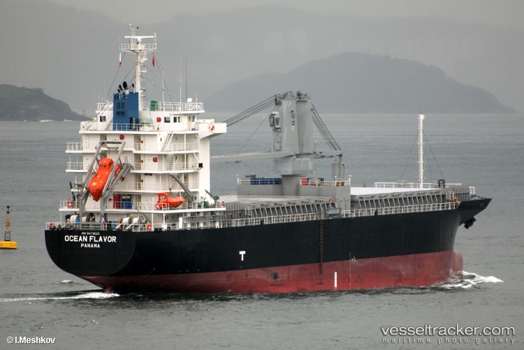 Asian-Favour - General Cargo Ship vessel