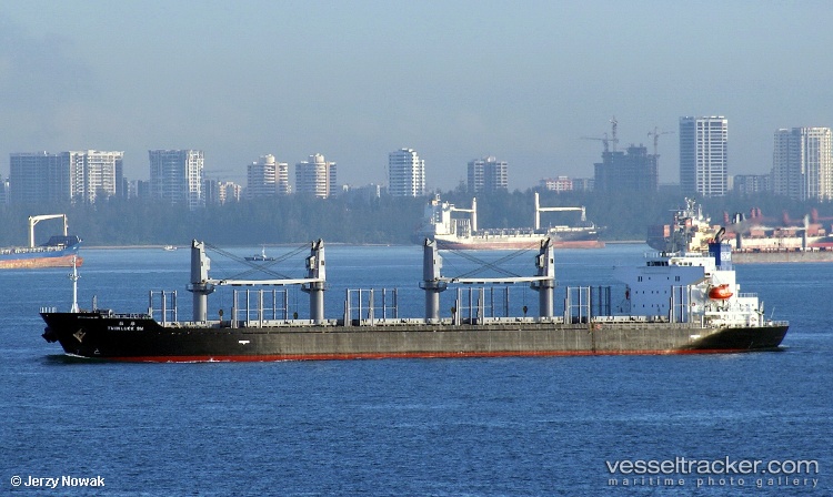 Twinluck-Sw - Bulk Carrier vessel