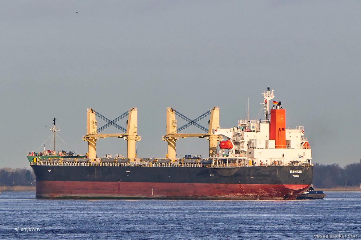 Estrella - Bulk Carrier vessel