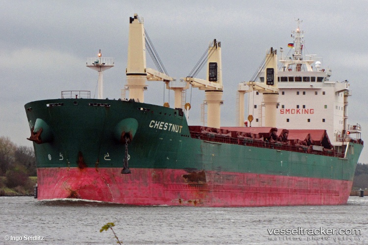Chestnut - Bulk Carrier vessel