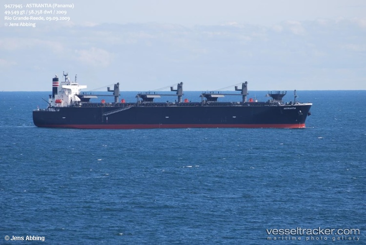 Astrantia - Wood Chips Carrier vessel