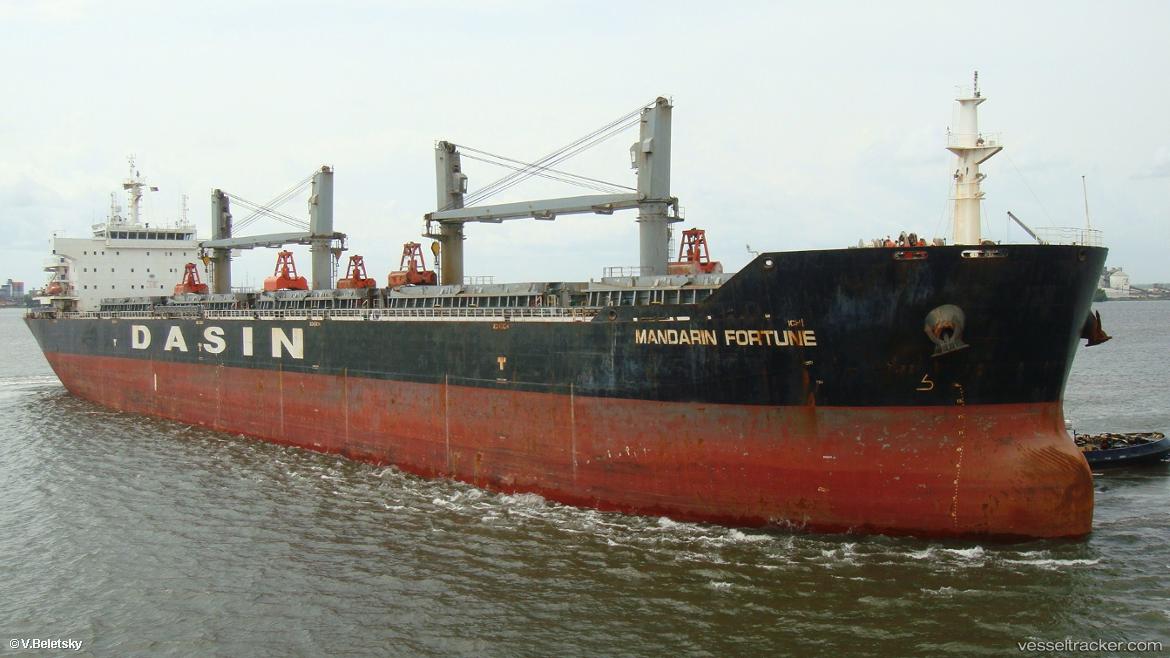 Top-Brilliance - Bulk Carrier vessel