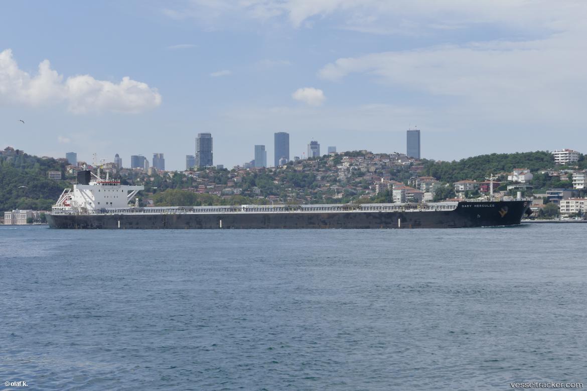 Baby-Hercules - Bulk Carrier vessel
