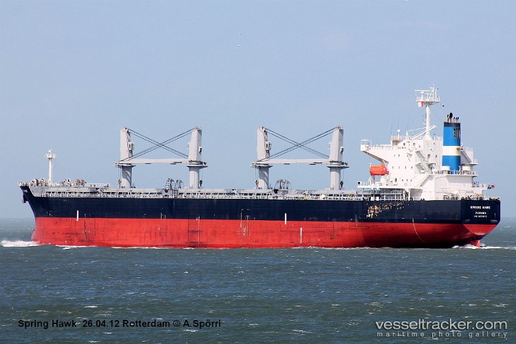 Grampus-Brave - Bulk Carrier vessel
