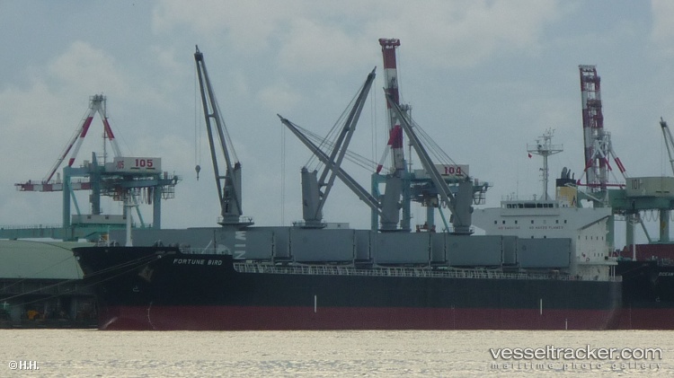 Sea-Credence - Bulk Carrier vessel