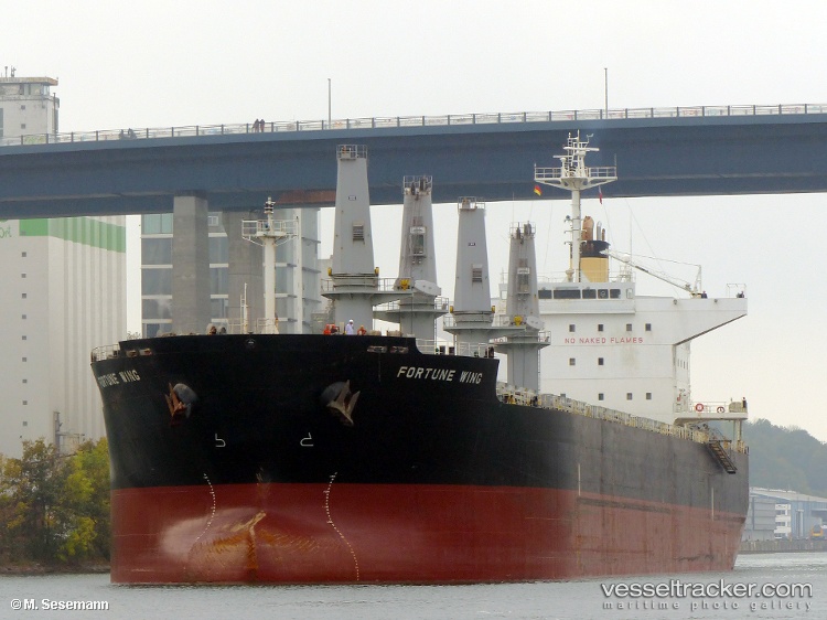 Patria-Nawasena-4 - Bulk Carrier vessel