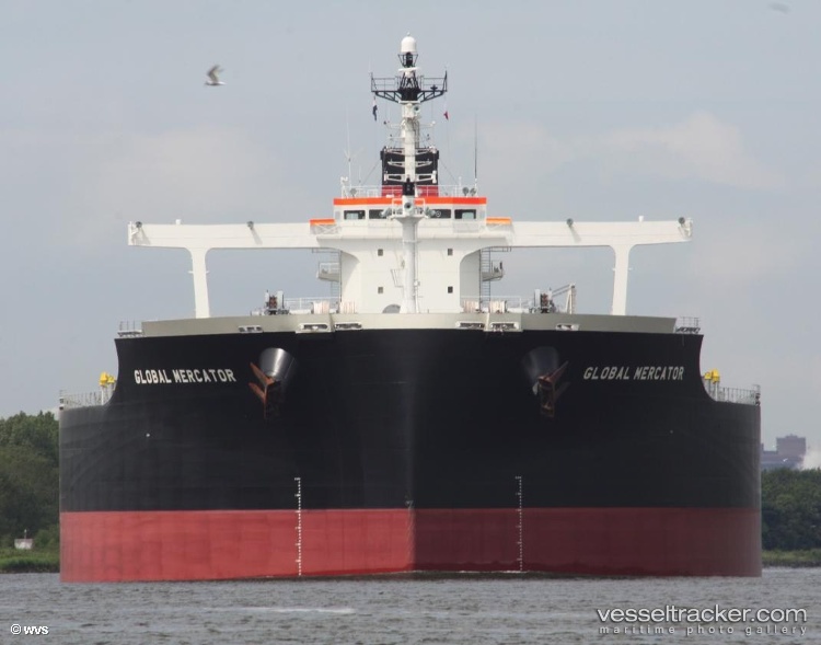 Freedom - Bulk Carrier vessel