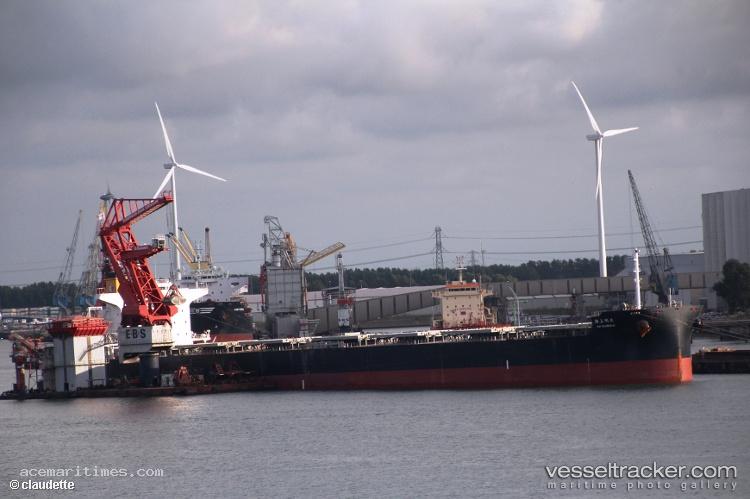 Km-Shanghai - Bulk Carrier