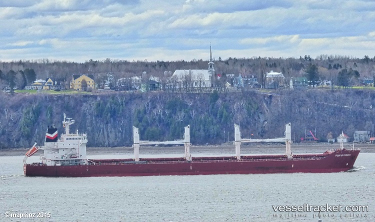 Four-Butterfly - Bulk Carrier vessel