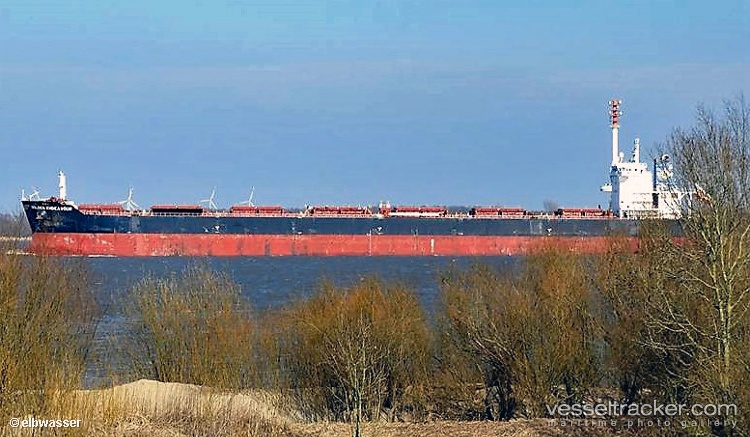 Cape-Akamas - Bulk Carrier vessel