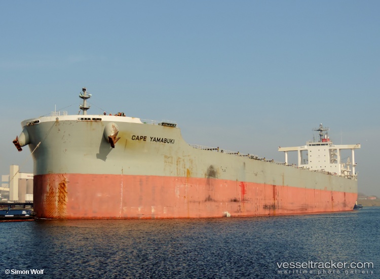 Cape-Yamabuki - Bulk Carrier vessel