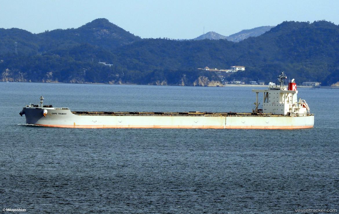 Cape-Tsubaki - Bulk Carrier vessel