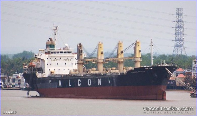 Vimc-Victory - Bulk Carrier vessel